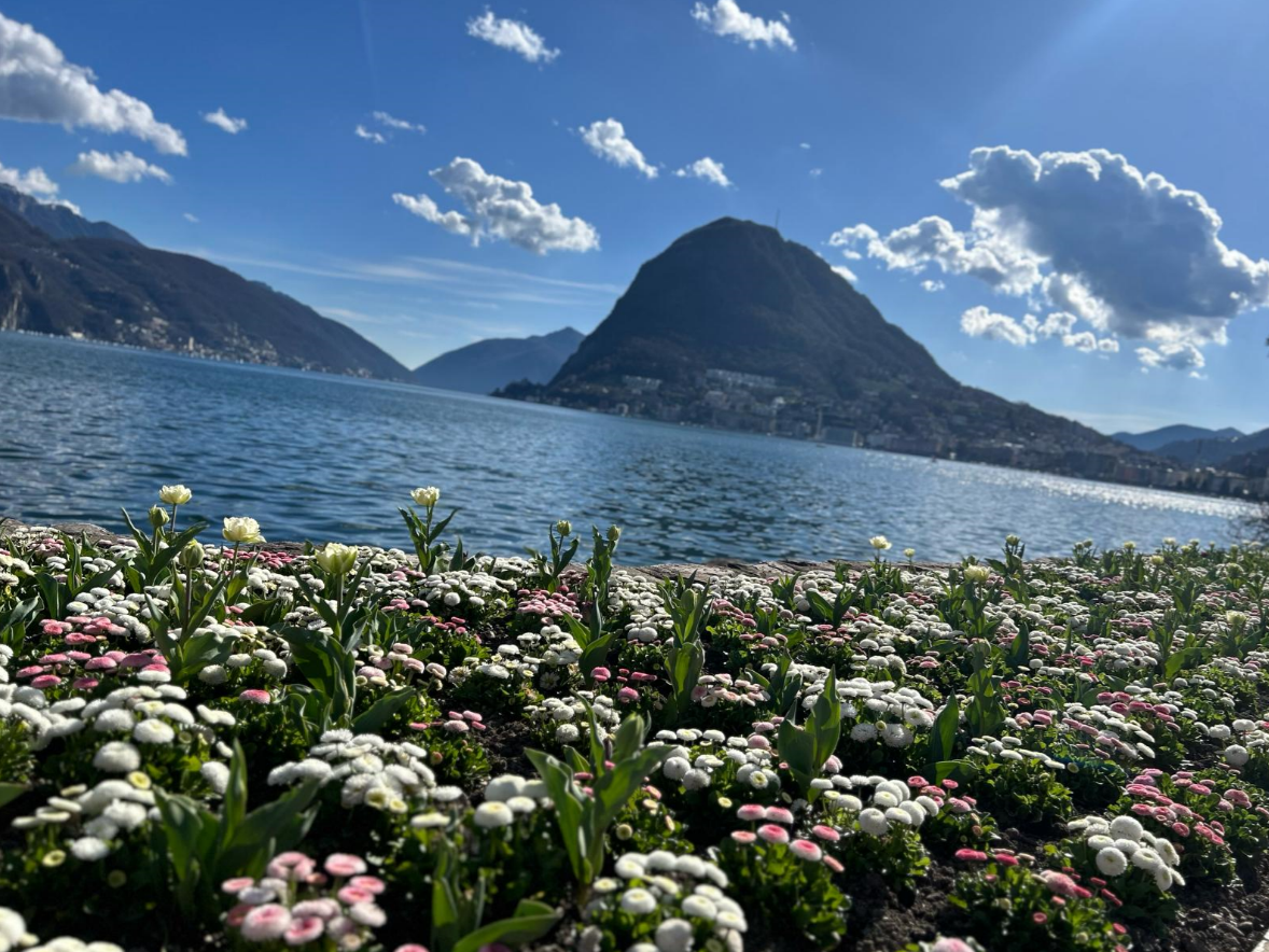 Appartamento di 1 ½ locali