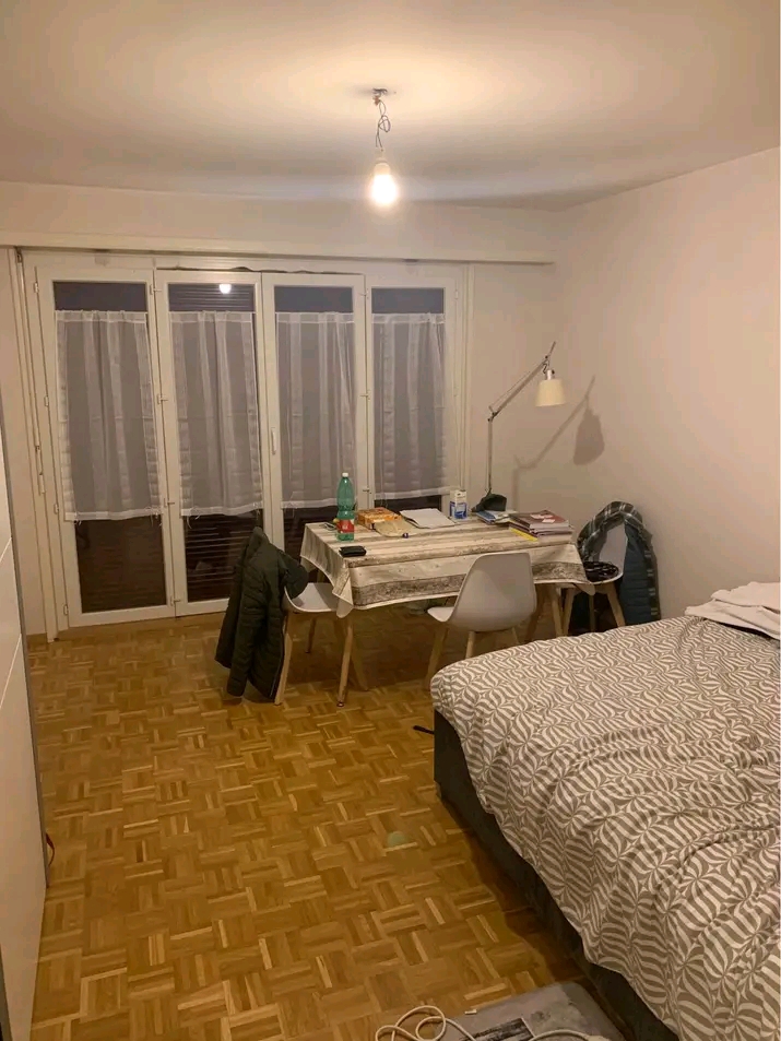 Furnished flat