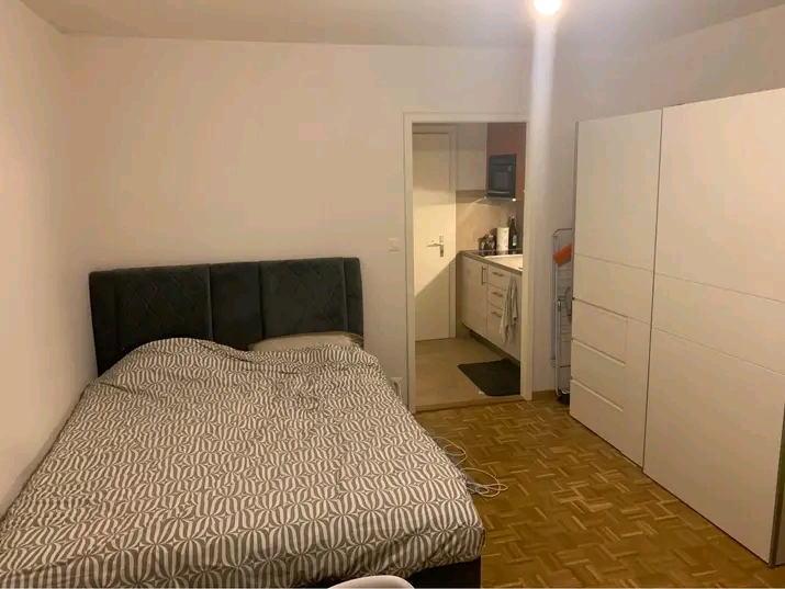 Furnished flat