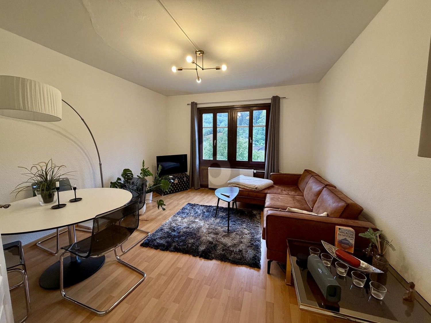 4 ½ rooms furnished flat