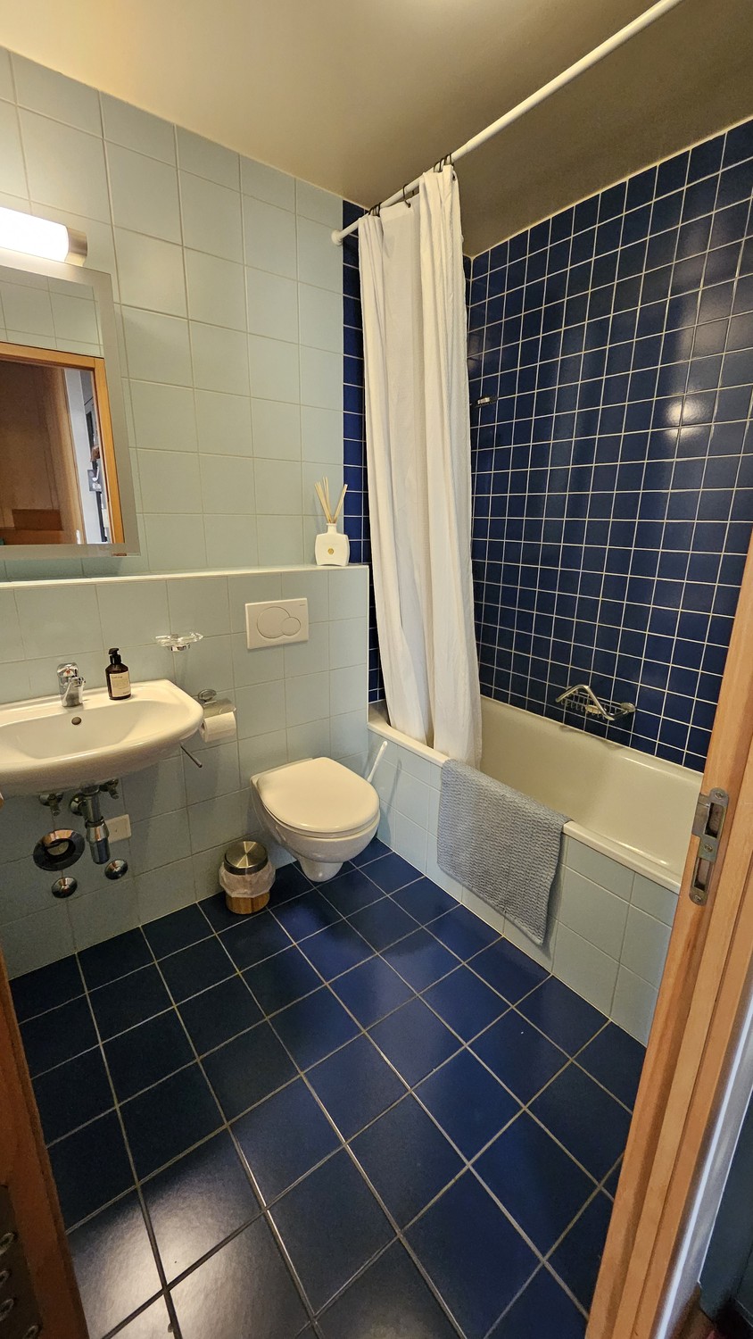 Appartamento di 3 ½ locali, foto 9 di 9