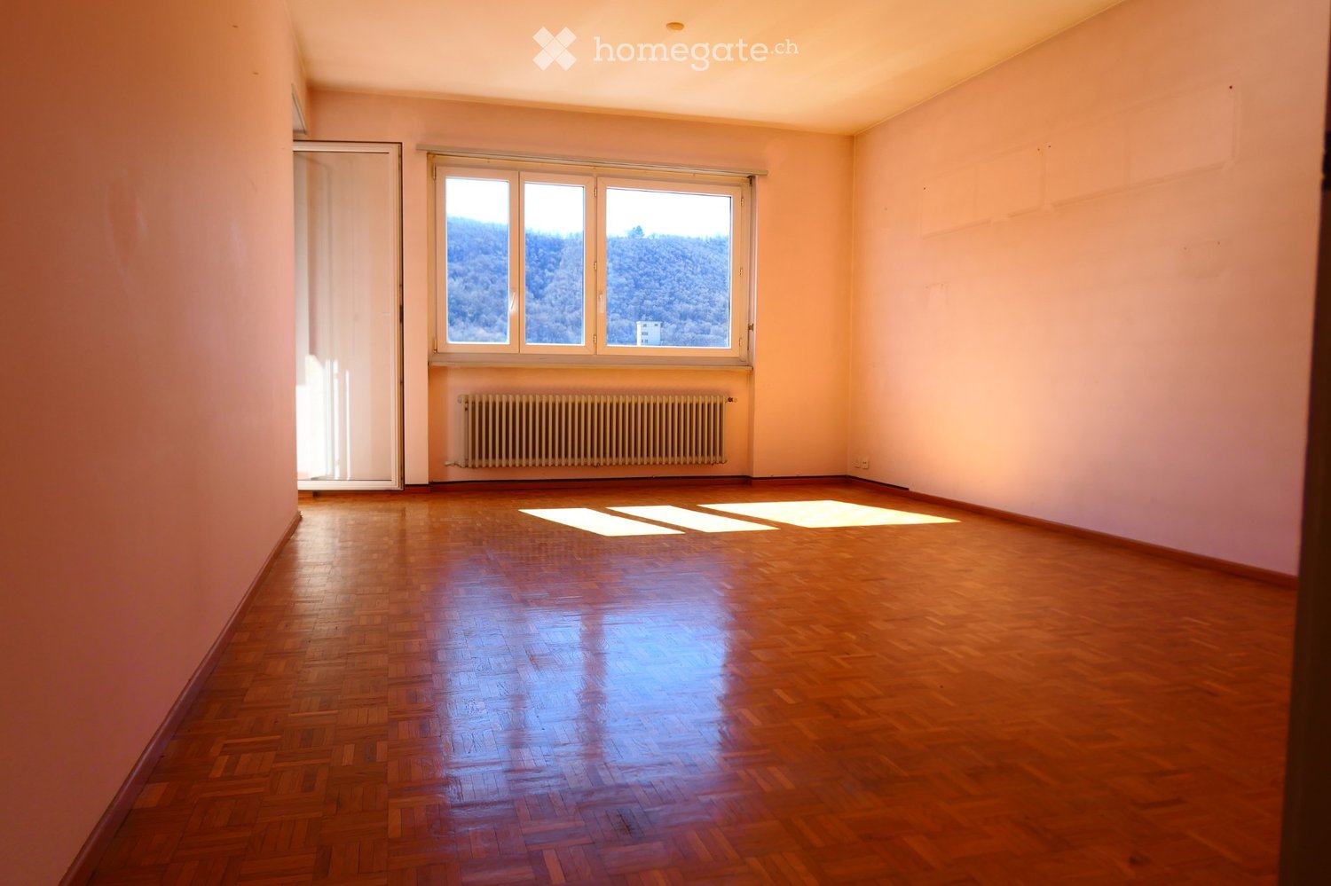 2 ½ rooms apartment