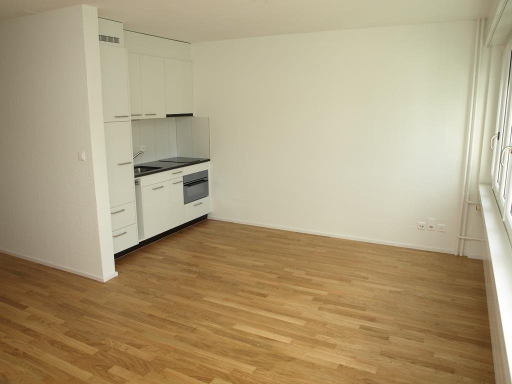 1 room apartment