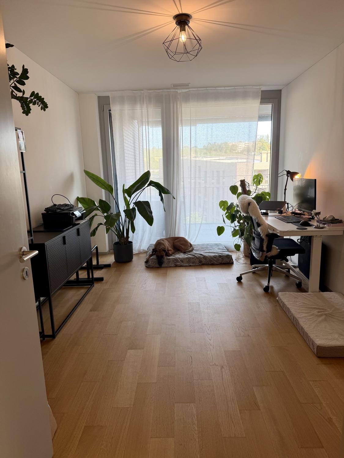 3 ½ Zimmer-Wohnung