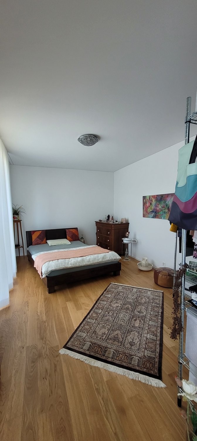 appartamento arredato di 2 ½ locali, foto 4 di 7