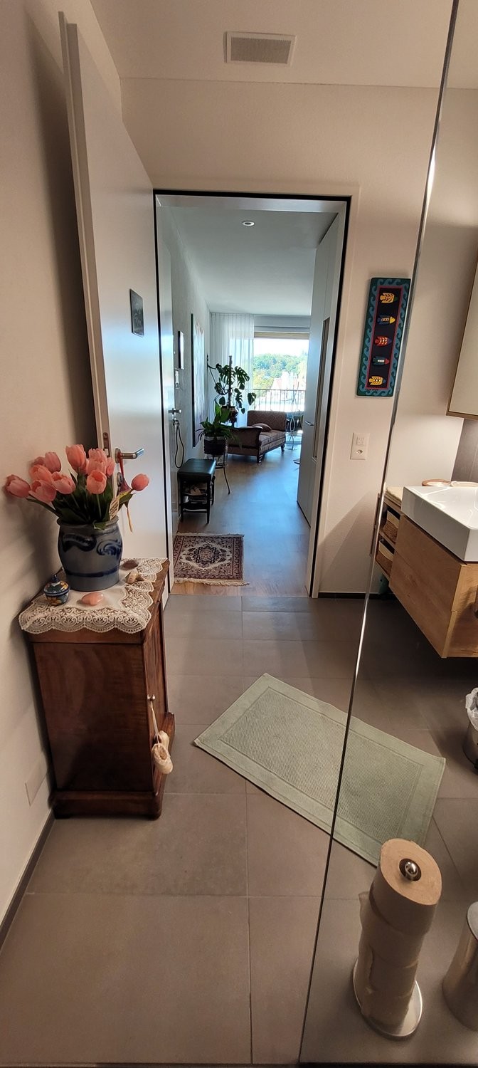 appartamento arredato di 2 ½ locali, foto 6 di 7