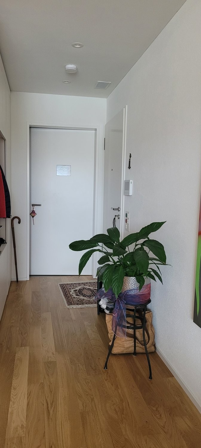 appartamento arredato di 2 ½ locali, foto 7 di 7