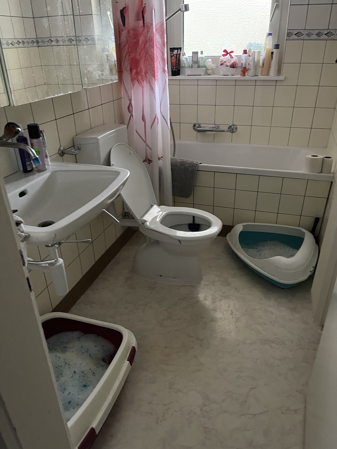 appartamento di 2 locali, foto 3 di 4