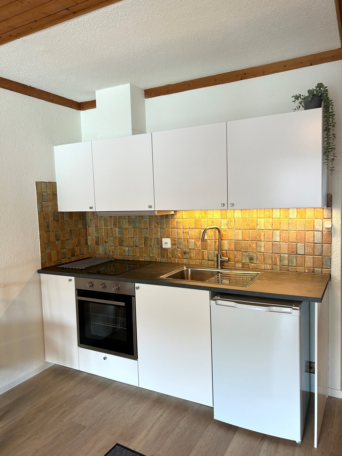 1 room apartment