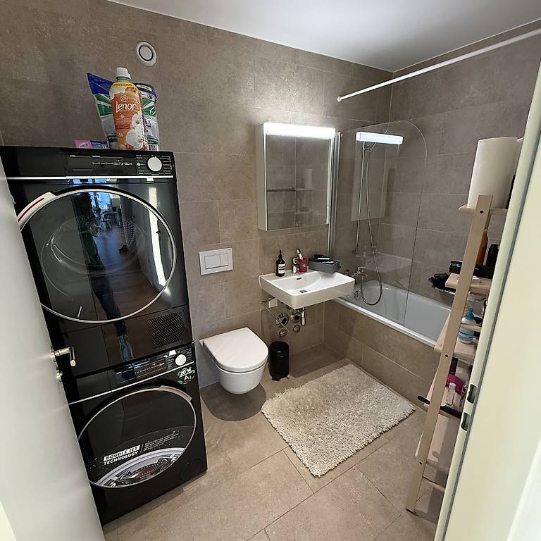 Appartamento arredato di 2 ½ locali, foto 5 di 5