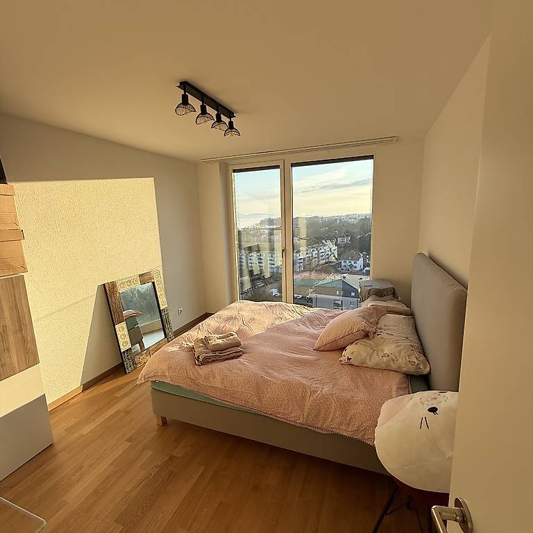 Appartamento arredato di 2 ½ locali, foto 4 di 5
