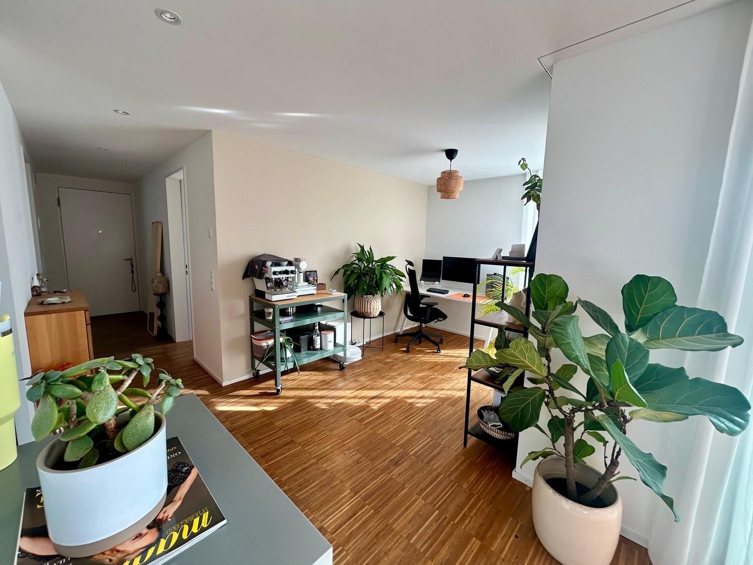 Appartamento arredato di 3 ½ locali