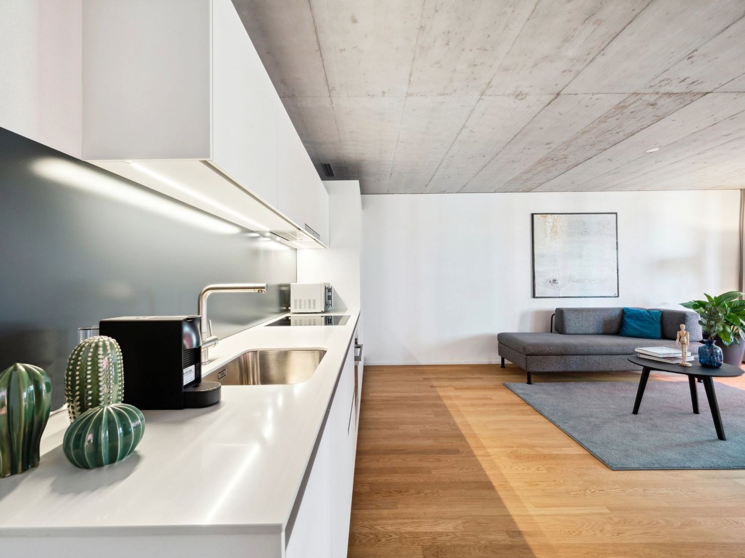 Appartamento di 2 ½ locali