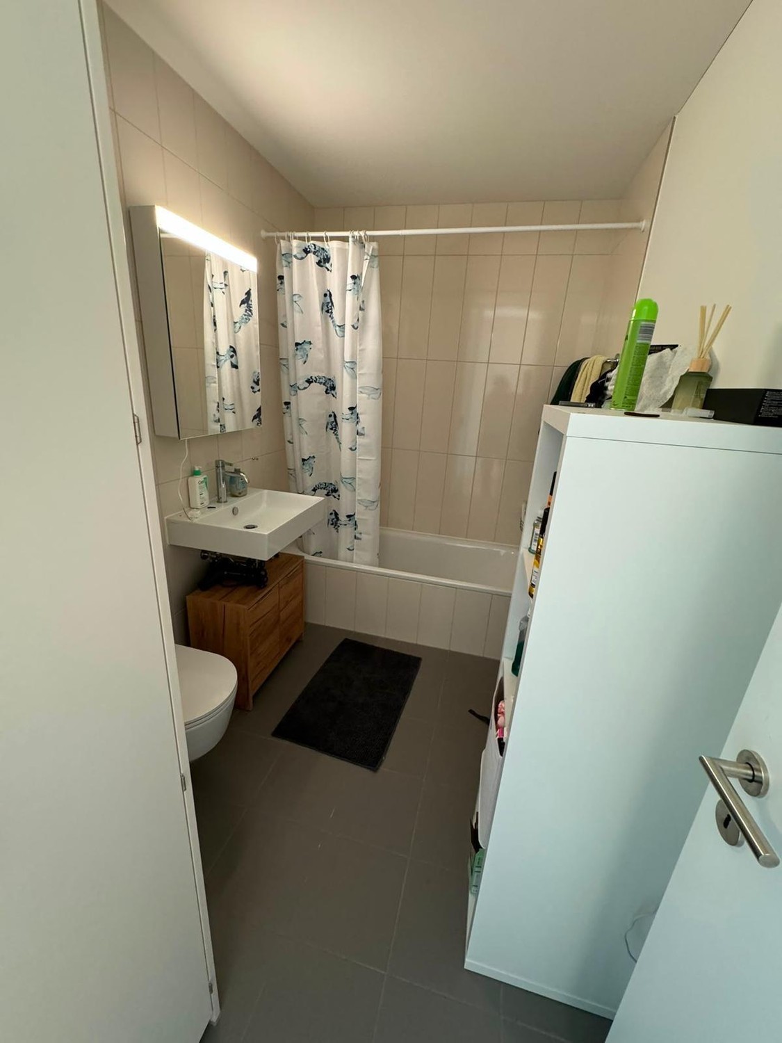 Room in a shared flat