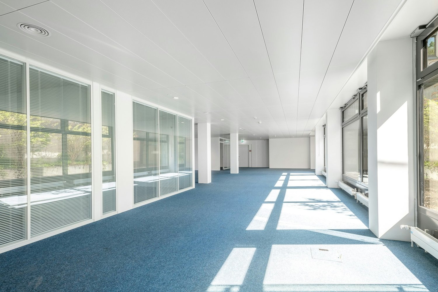 316m² ufficio