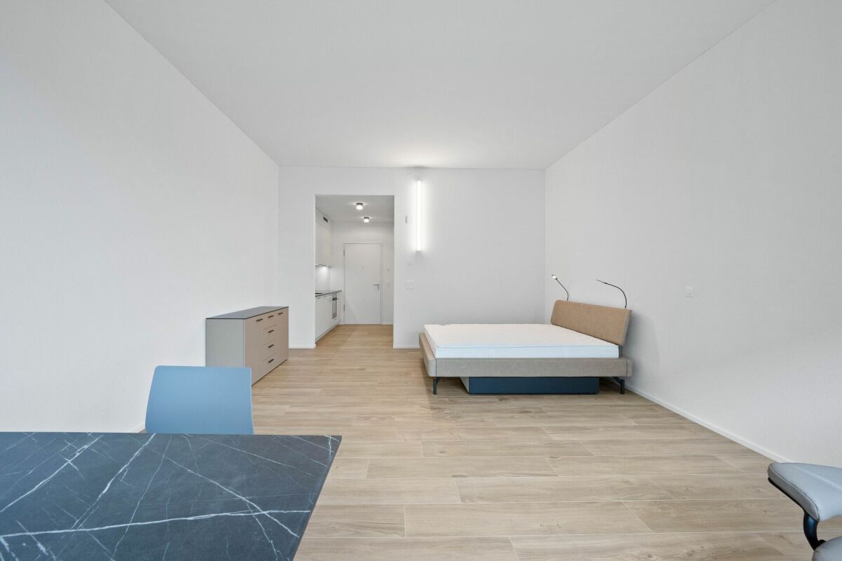 Appartamento arredato di 1 ½ locali, foto 2 di 5