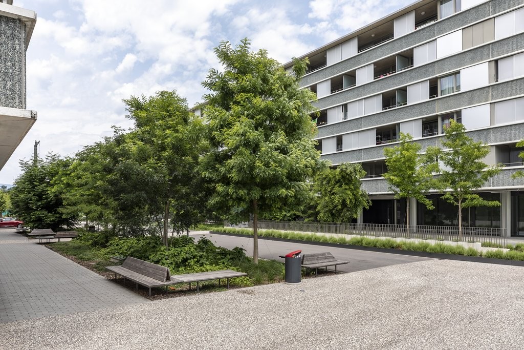 negozio di 100m²