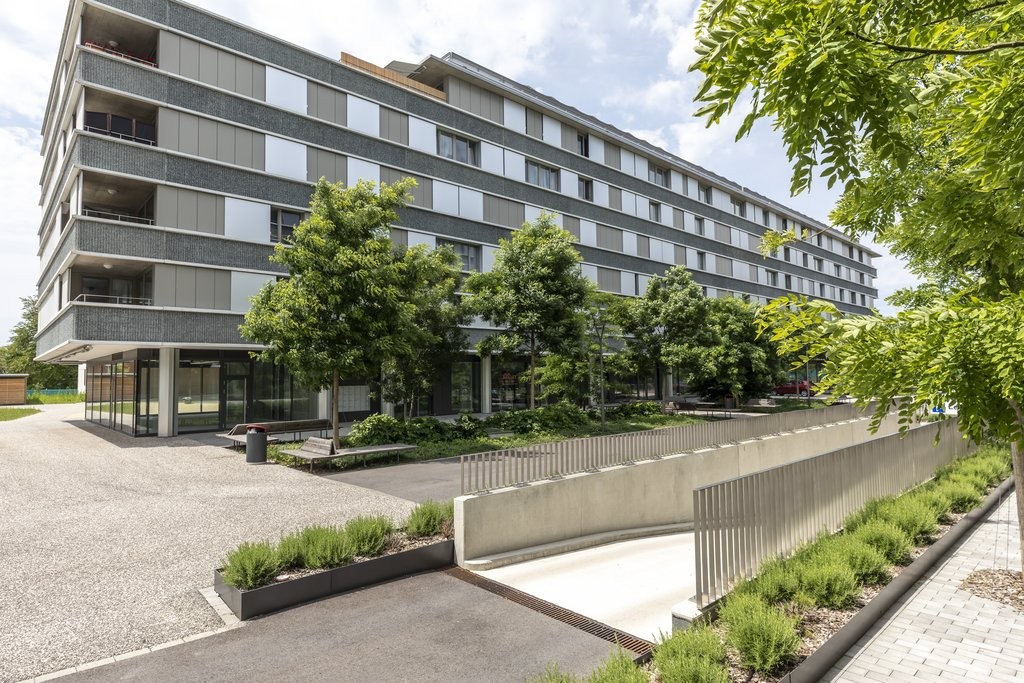 negozio di 100m²