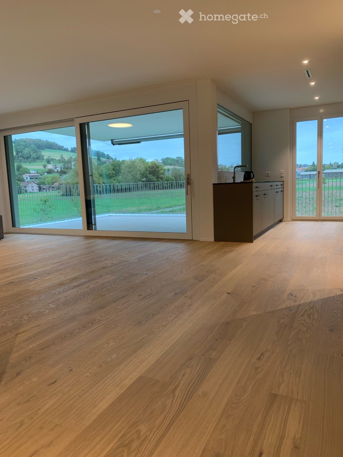 4 ½ rooms apartment
