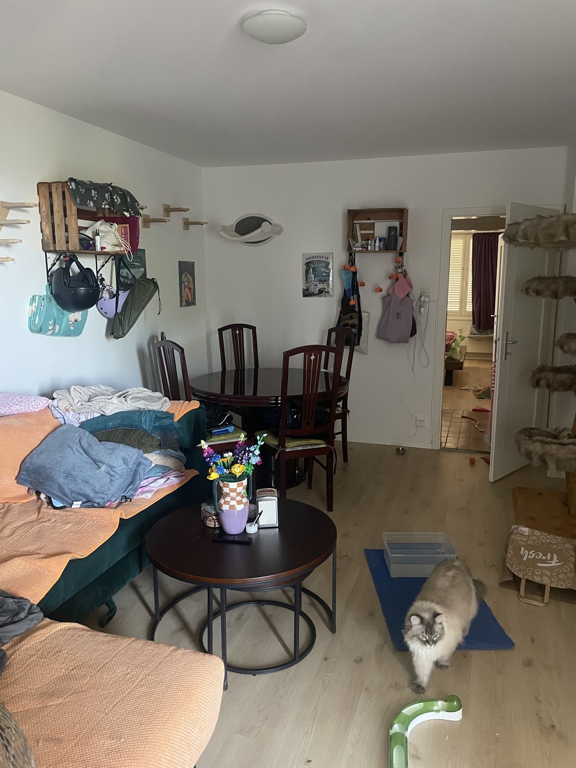 appartamento di 2 locali, foto 1 di 8