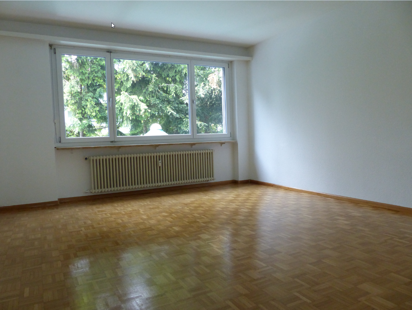 2 ½ rooms apartment