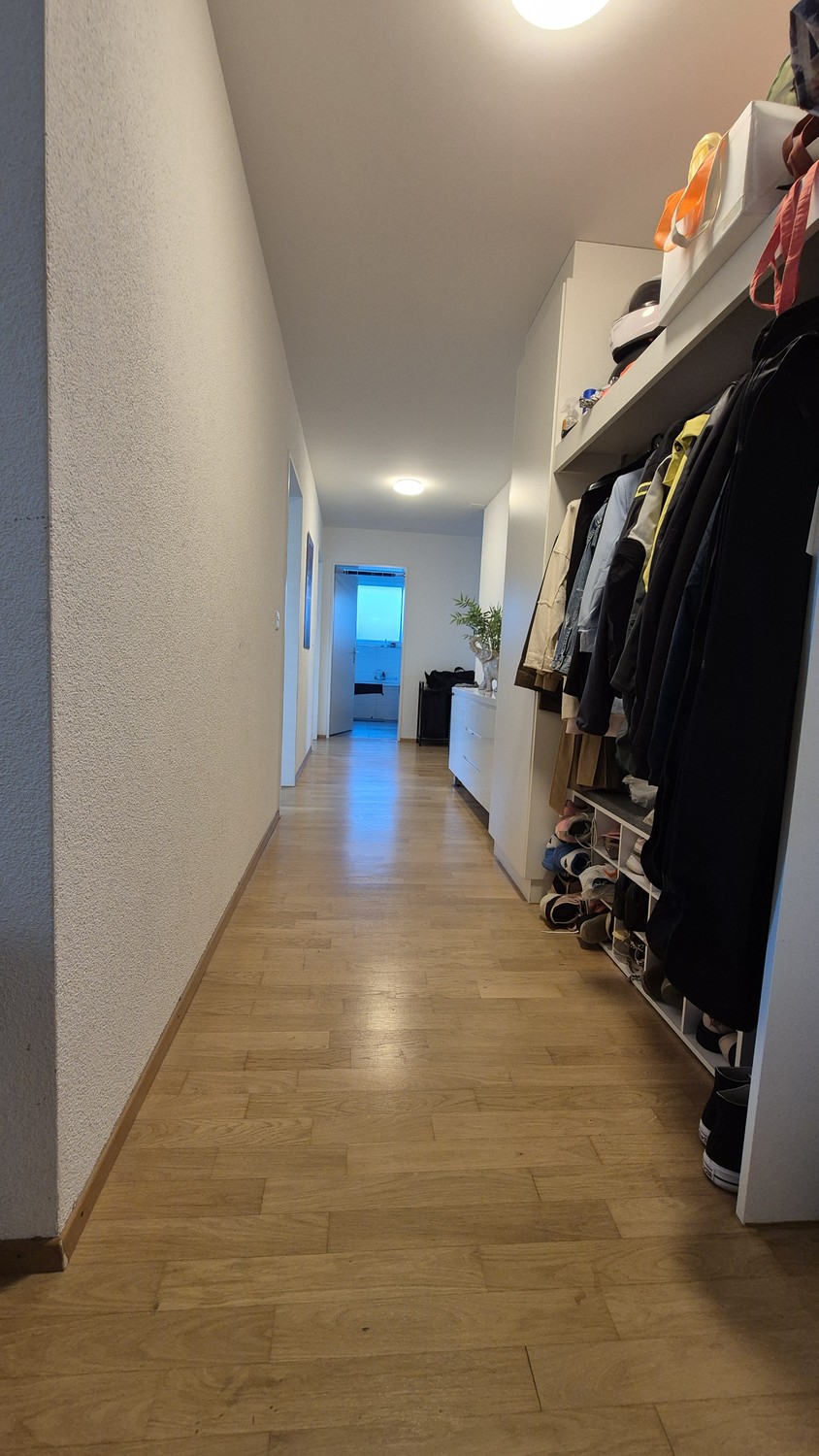 Appartamento di 3 ½ locali, foto 7 di 8