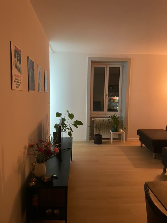 Room in a shared flat