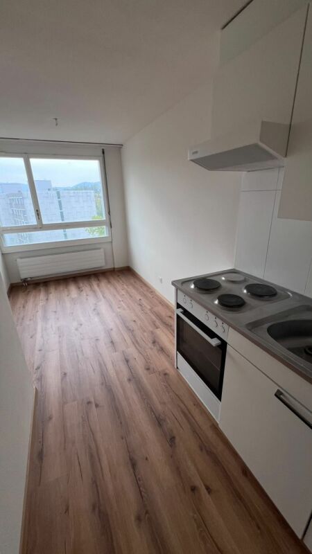 Appartamento di 1 ½ locali, foto 2 di 10