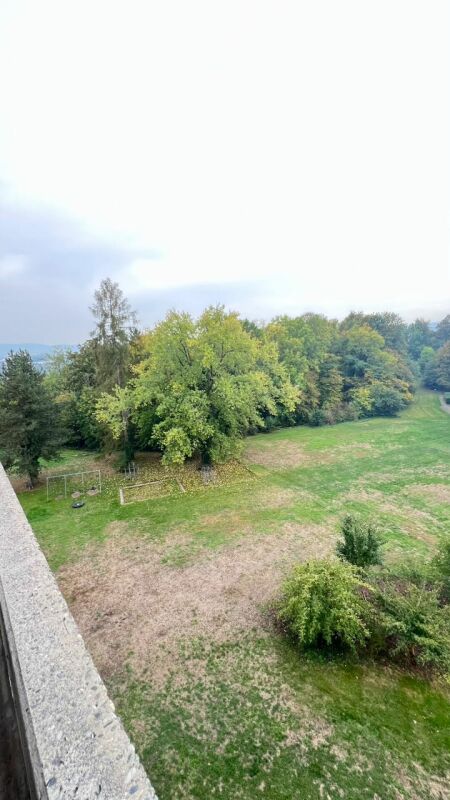 Appartamento di 1 ½ locali, foto 9 di 10