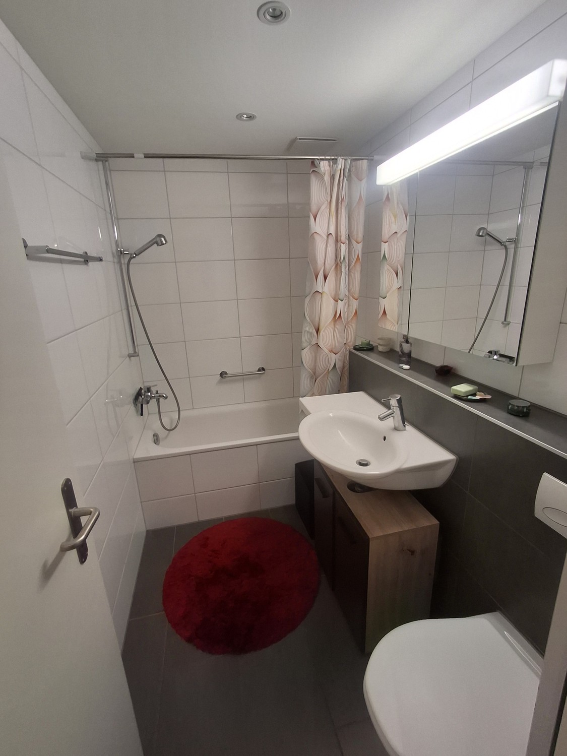 2 ½ rooms apartment
