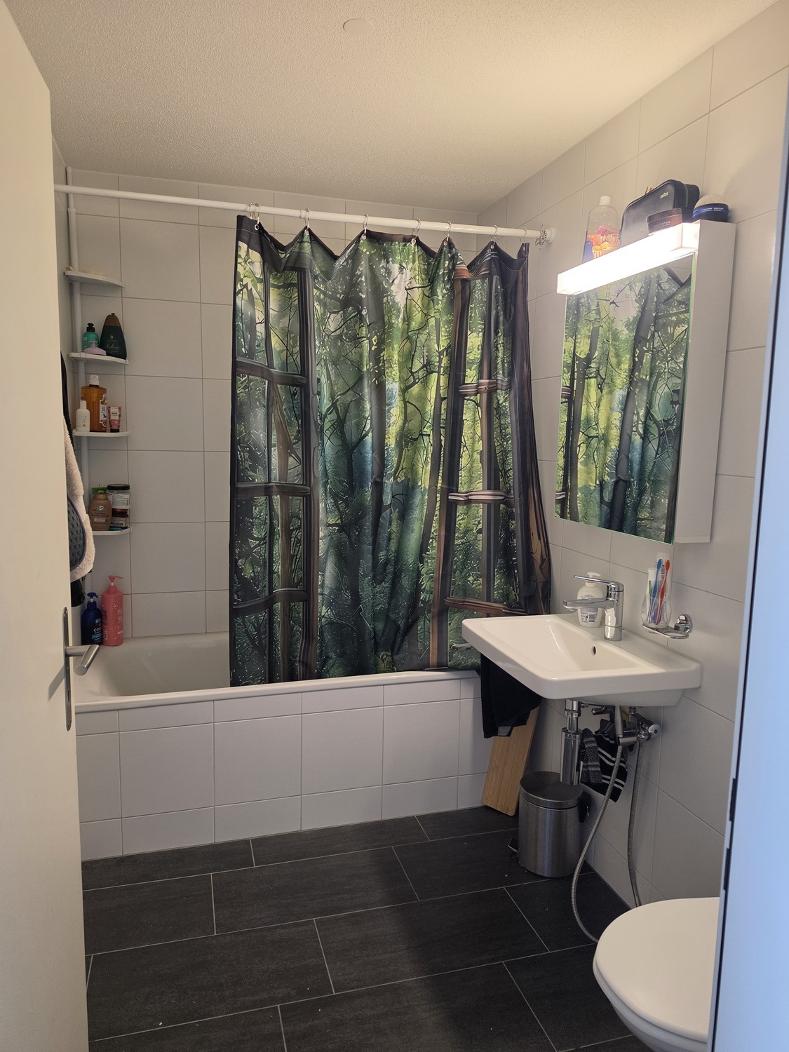 Appartamento di 3 ½ locali, foto 4 di 10