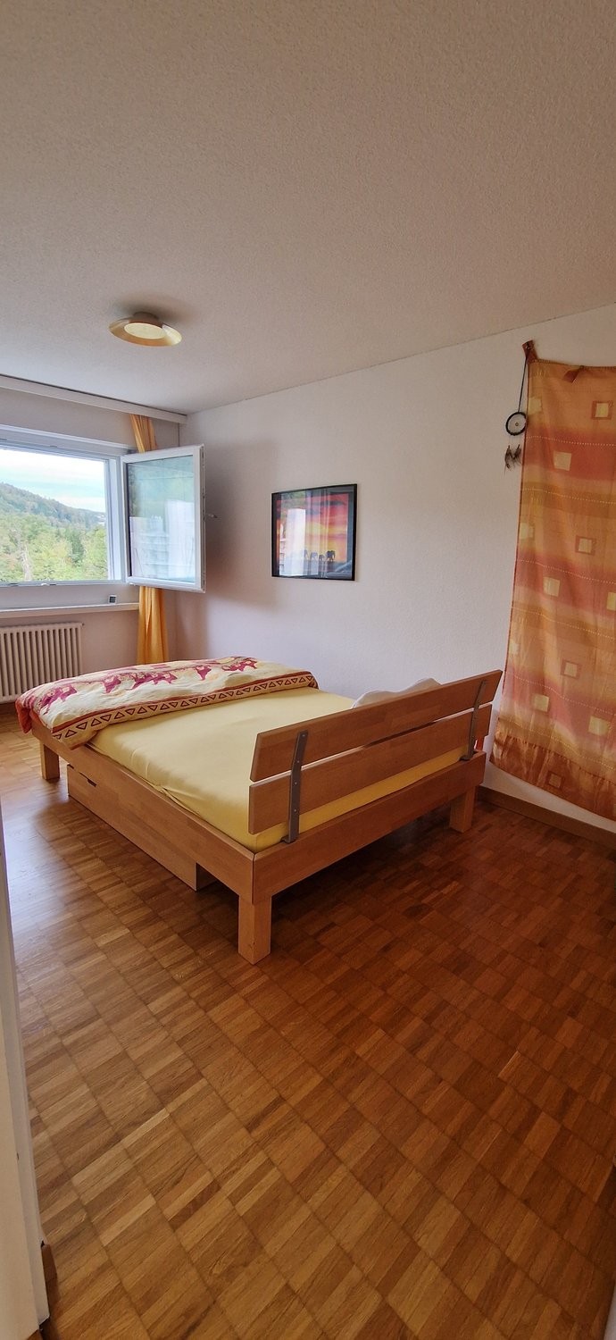 appartamento arredato di 2 ½ locali, foto 4 di 8