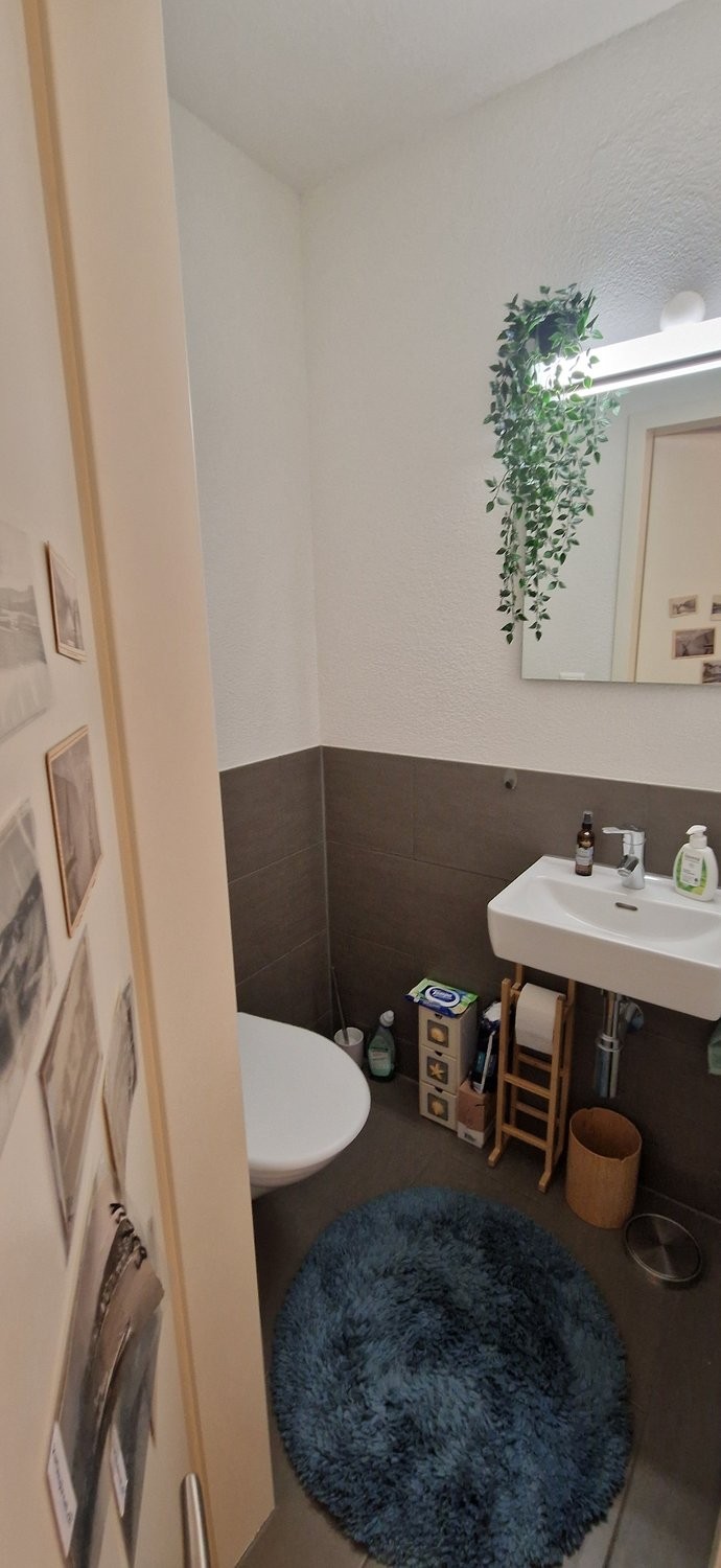 appartamento arredato di 2 ½ locali, foto 6 di 8