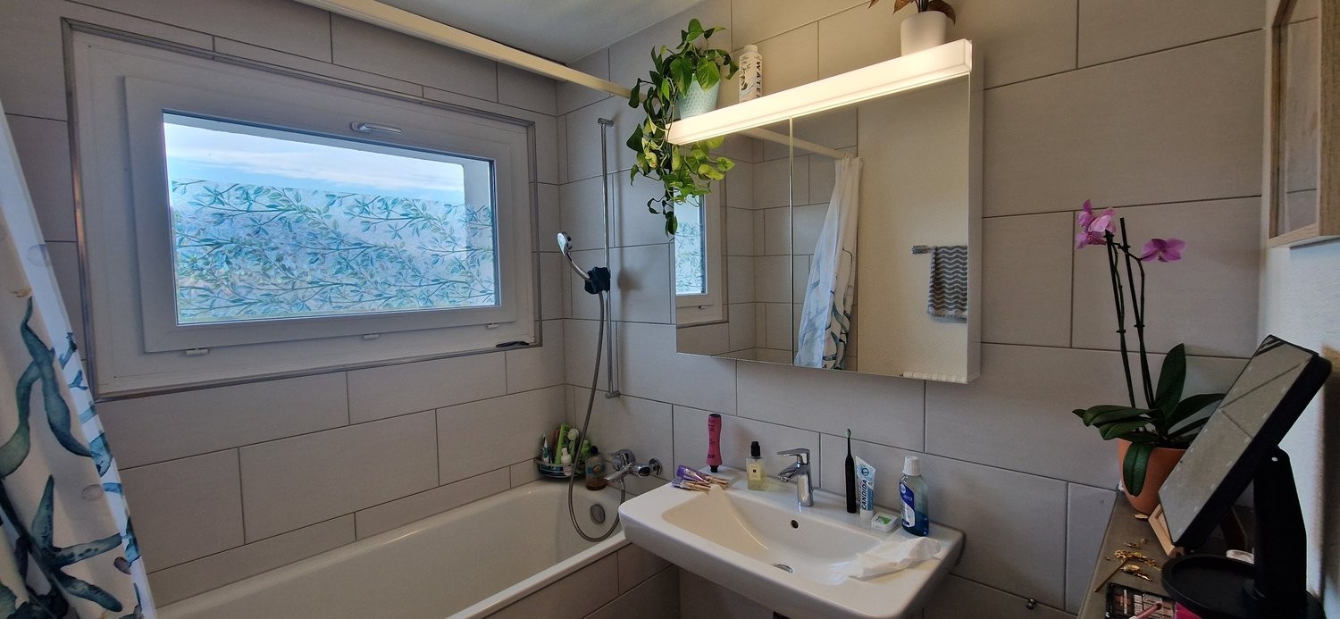 appartamento arredato di 2 ½ locali, foto 5 di 8