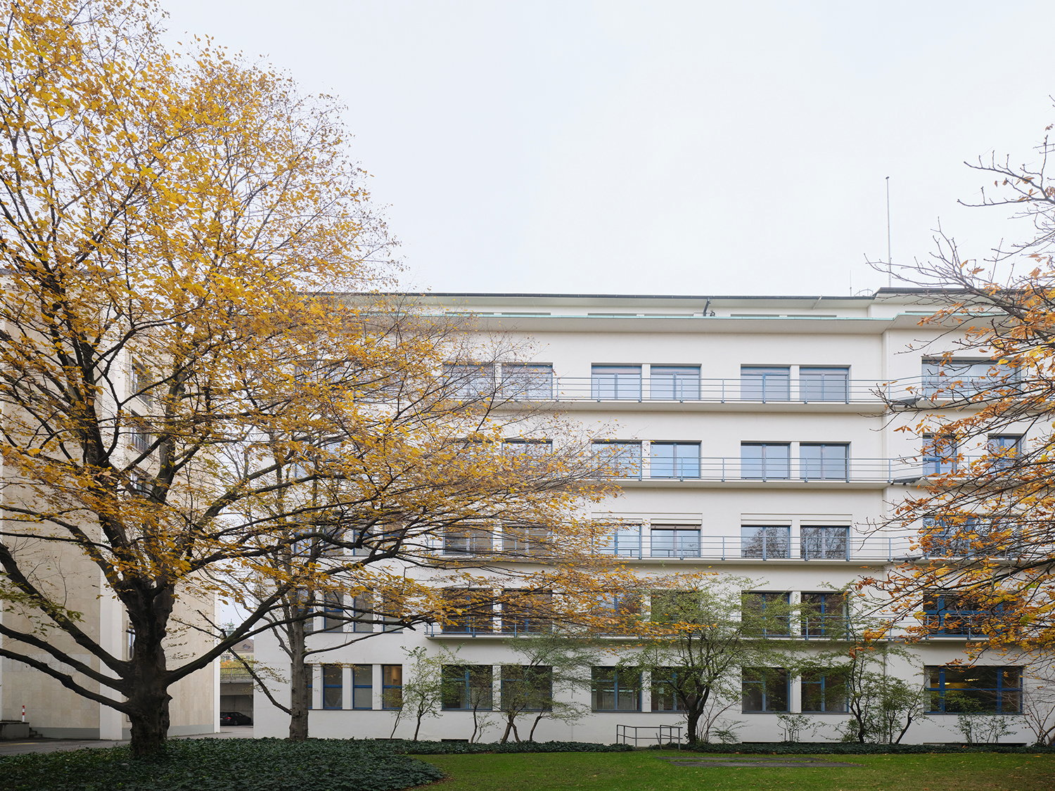 1100m² commerciale