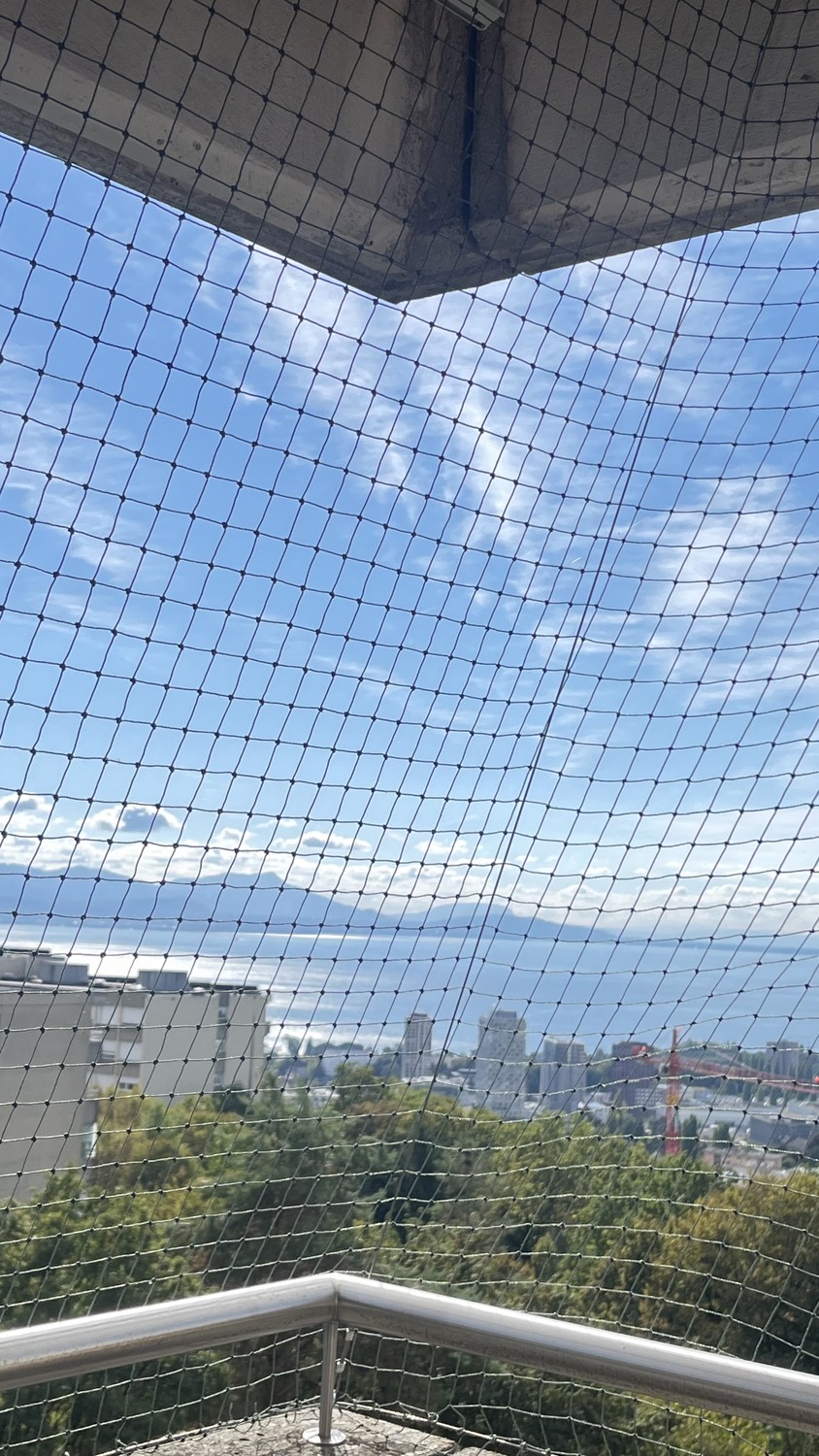 Appartamento di 3 ½ locali, foto 5 di 8