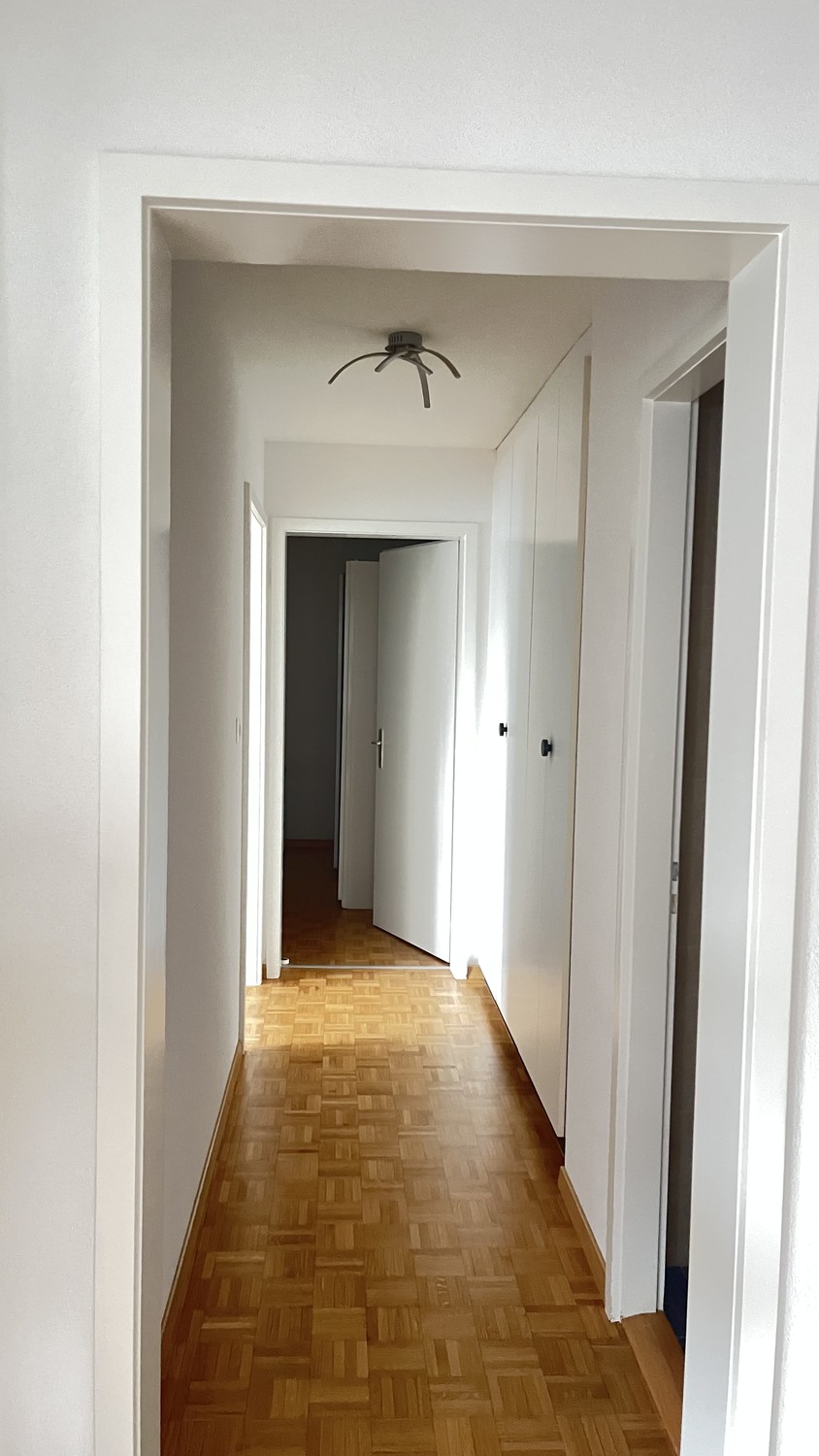 Appartamento di 3 ½ locali, foto 3 di 8