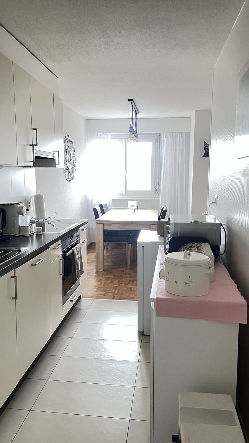Appartamento di 3 ½ locali, foto 1 di 8