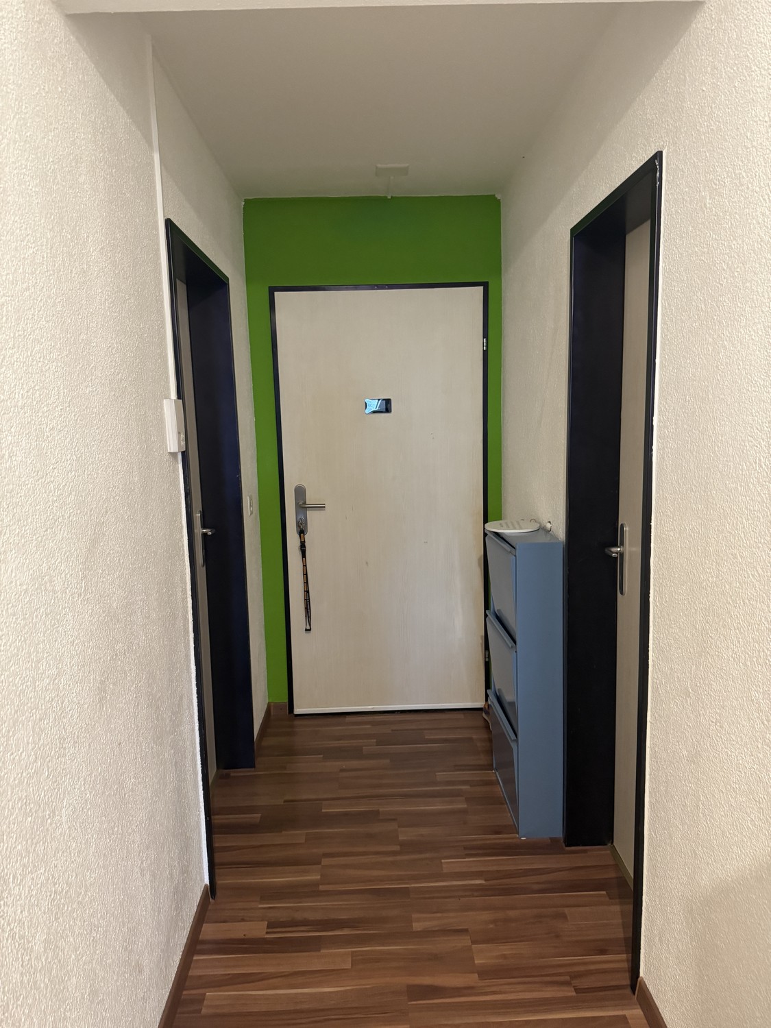 5 ½ rooms apartment