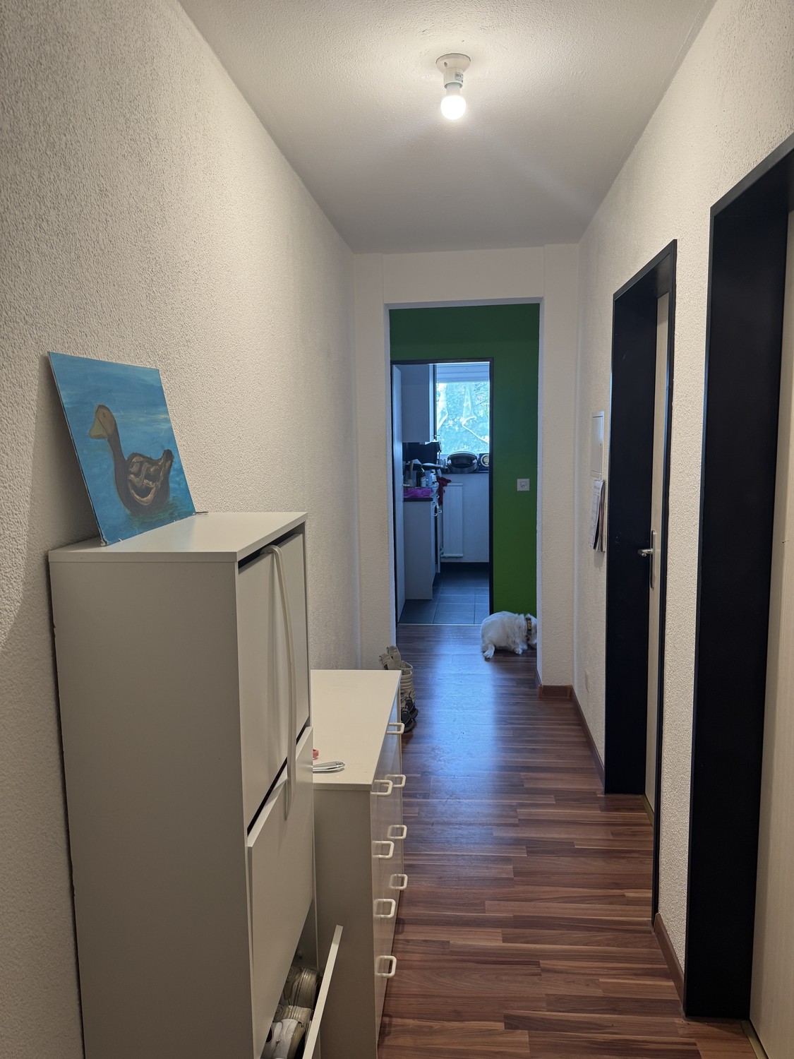 5 ½ rooms apartment