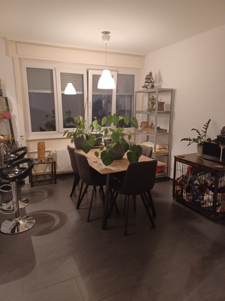 Appartamento di 2 ½ locali, foto 1 di 9