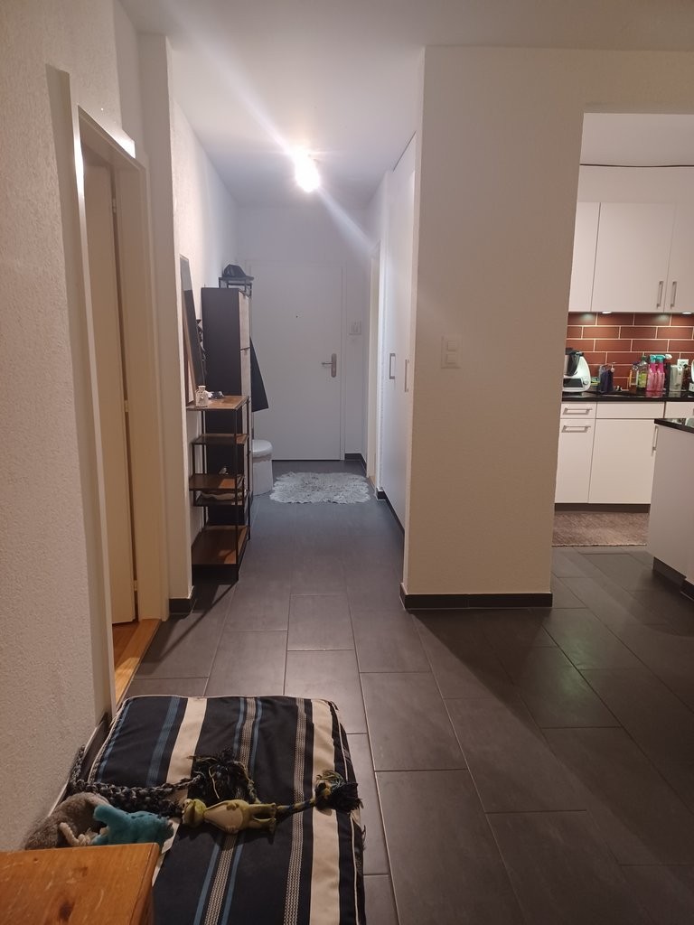 Appartamento di 2 ½ locali, foto 3 di 9