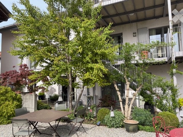 Appartamento di 1 ½ locali, foto 1 di 4