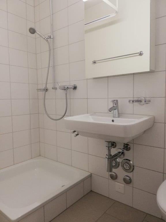 appartamento di 2 locali, foto 3 di 5
