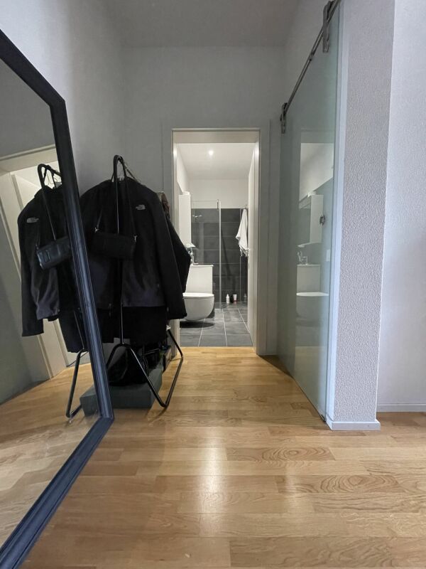 Appartamento arredato di 1 ½ locali, foto 5 di 6