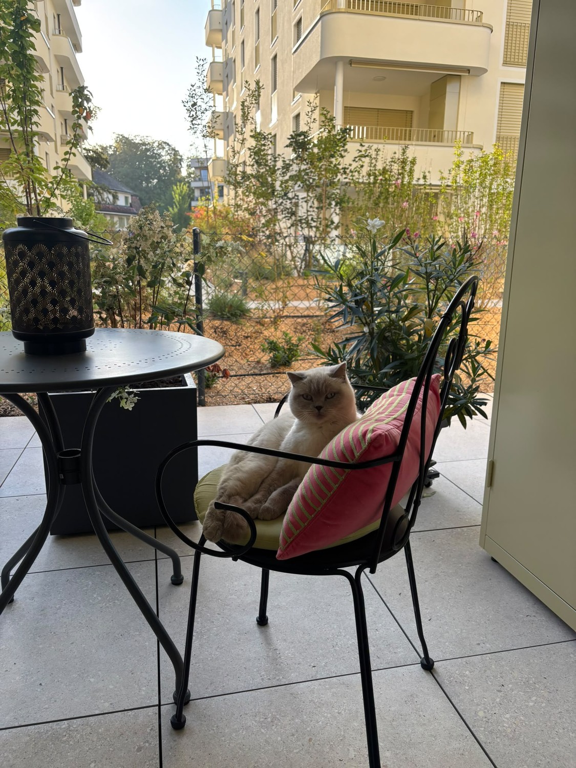 Appartamento di 2 ½ locali, foto 6 di 10