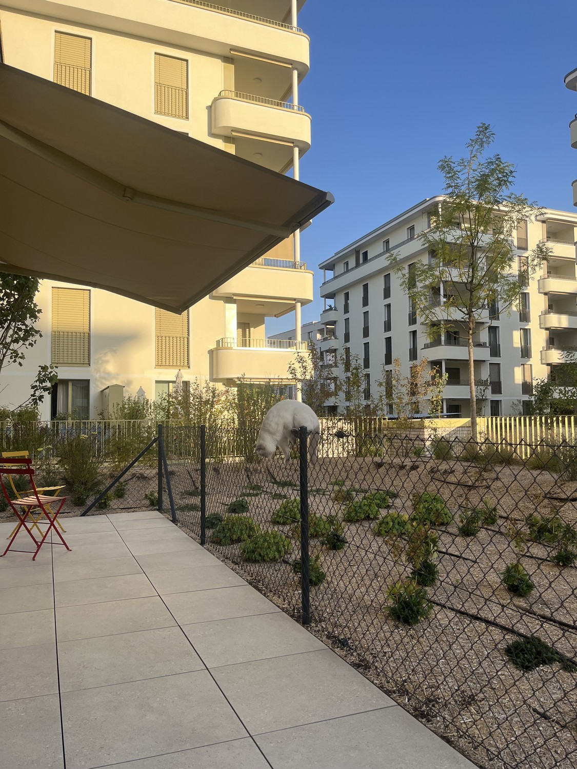 Appartamento di 2 ½ locali, foto 7 di 10