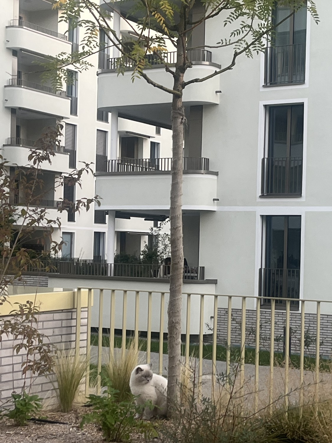 Appartamento di 2 ½ locali, foto 3 di 10
