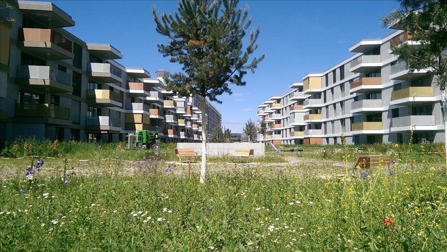 Appartamento di 3 ½ locali