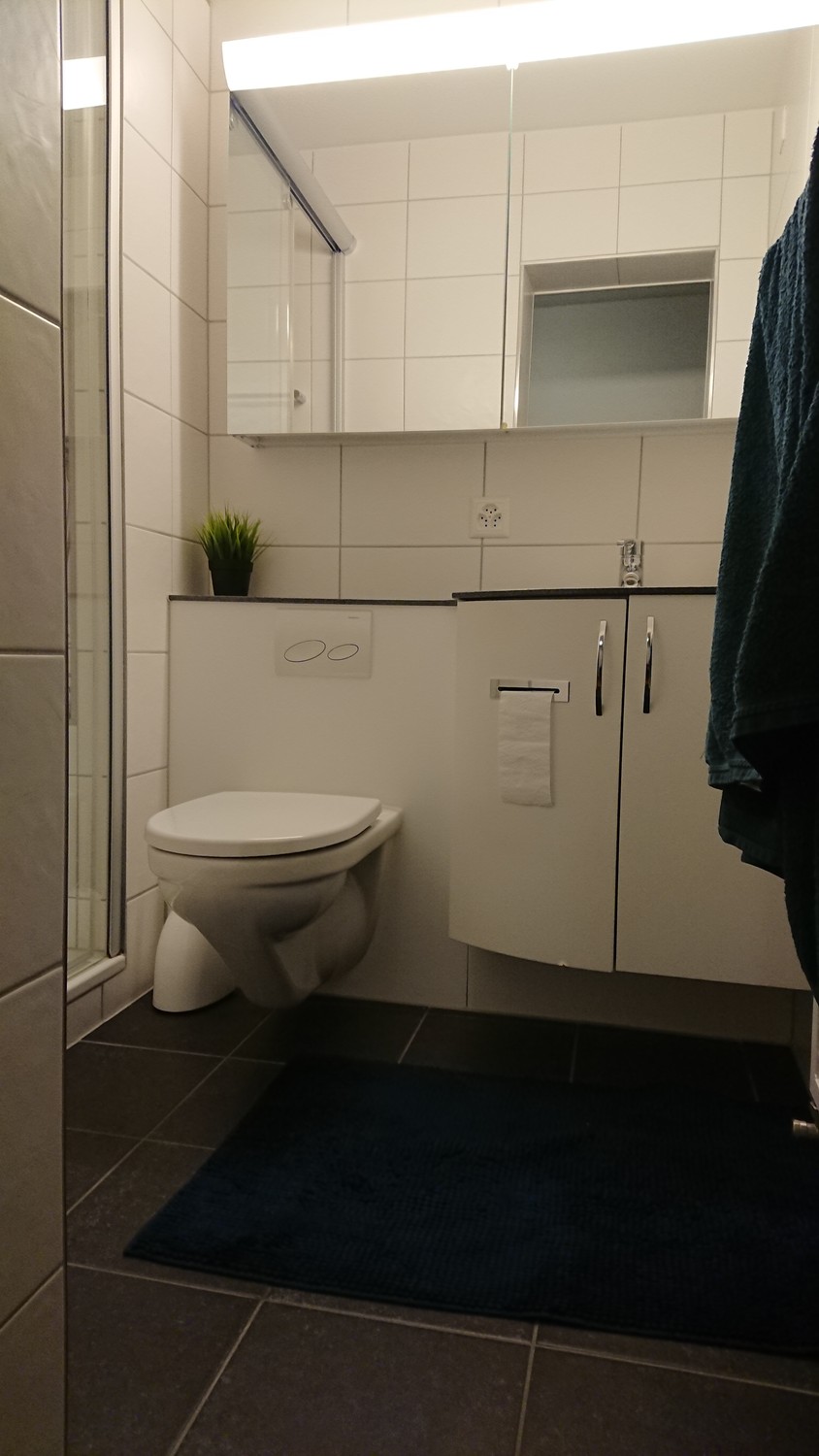Appartamento di 3 ½ locali